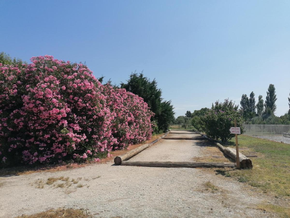 Les Gites Du Mas Canillac Châteaurenard Zewnętrze zdjęcie